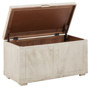 Ryker - Storage Trunk