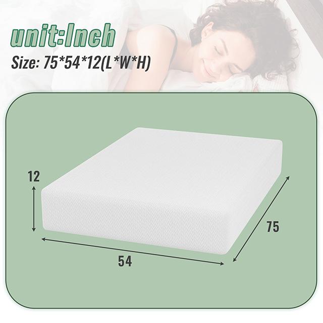 Coreopsis 12" Full Memory Foam Wave Comfort