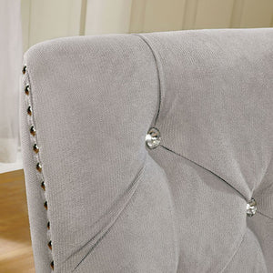 DIOCLES Silver/Light Gray Side Chair (2/CTN)